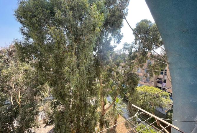 8283248 - صورة العقار 2