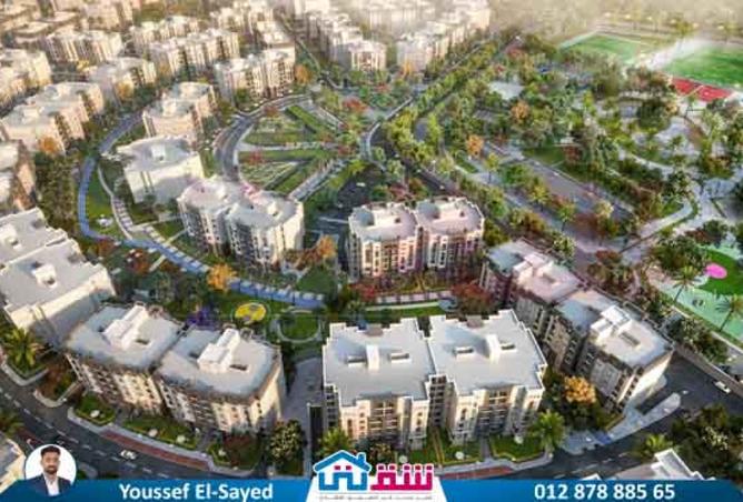 8137891 - Property Image 2