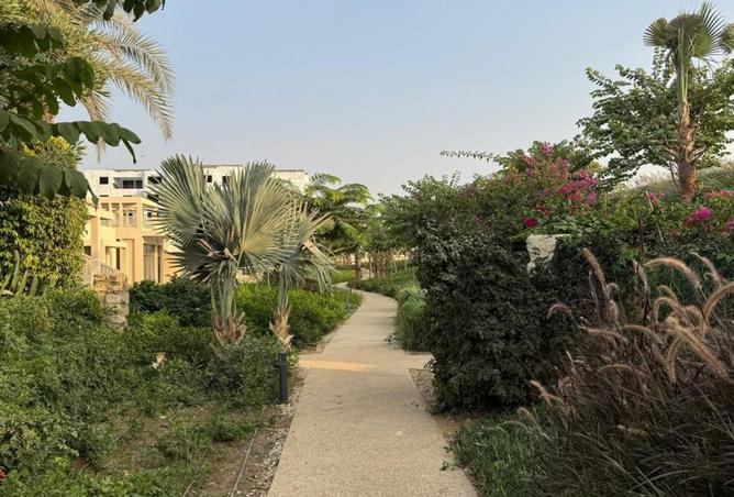 7935023 - صورة العقار 3
