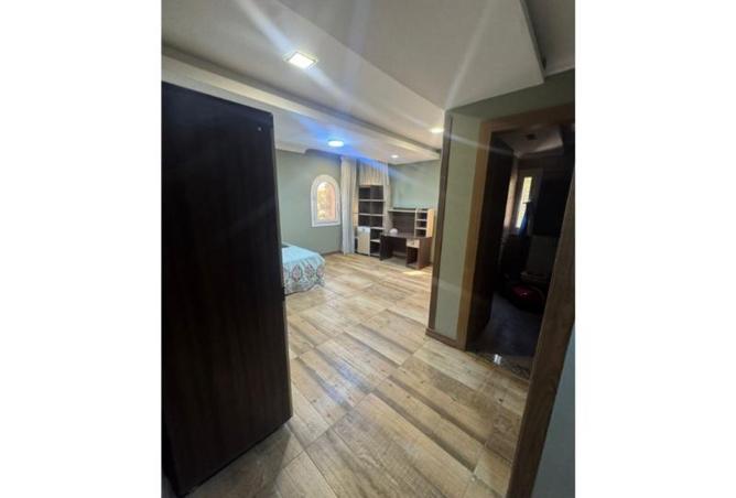 8008883 - Property Image 3