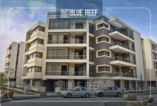 8536791 - Property Image 3