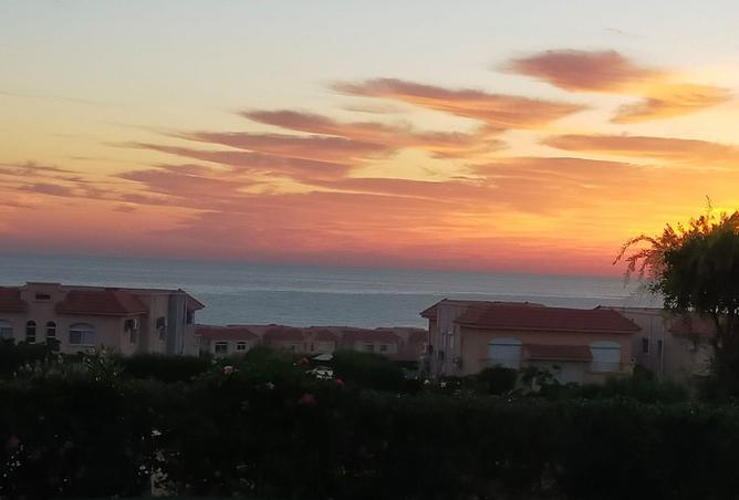 7954260 - صورة العقار 3