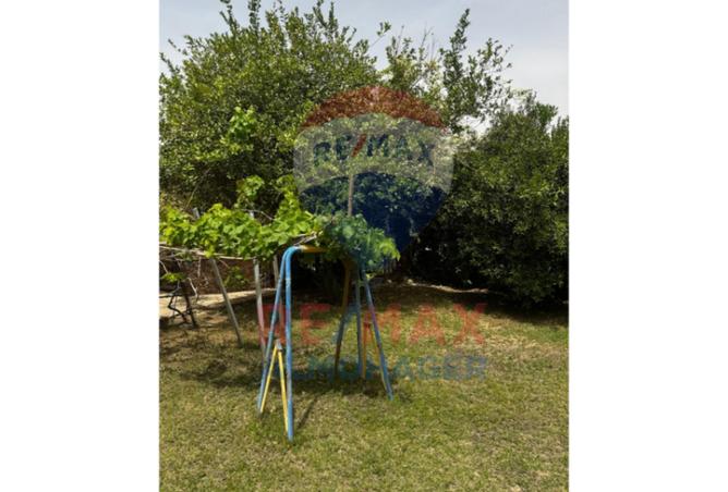 7975075 - Property Image 3