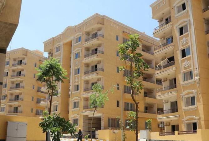 7951285 - صورة العقار 3