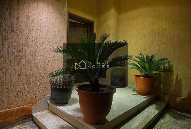 8192374 - Property Image 3