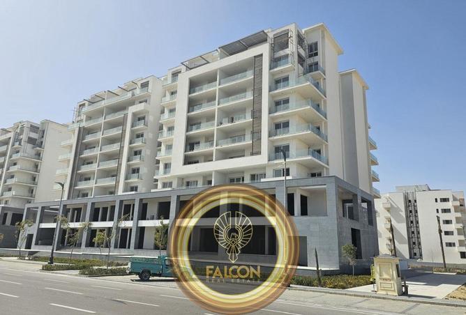 8482719 - Property Image 3