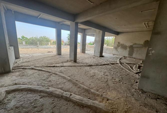 8266138 - صورة العقار 3