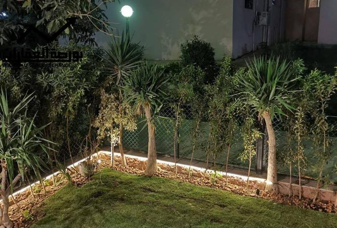 8507962 - Property Image 3