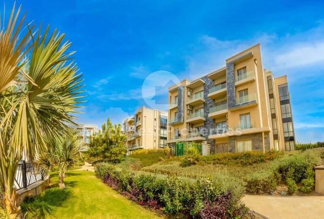 8433482 - Property Image 2