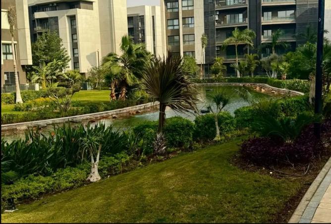 8244096 - Property Image 2