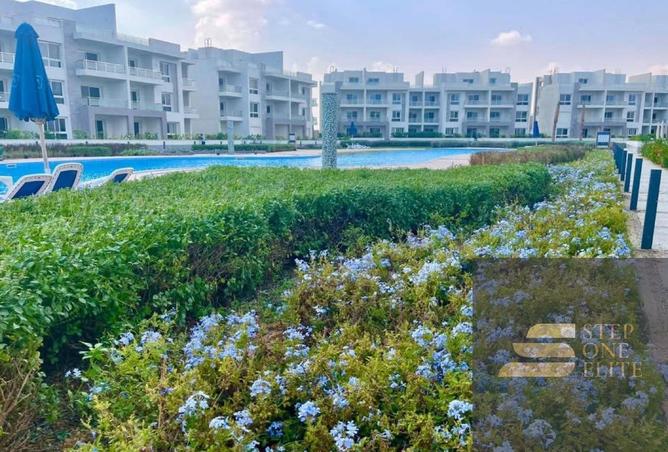 8425335 - صورة العقار 3