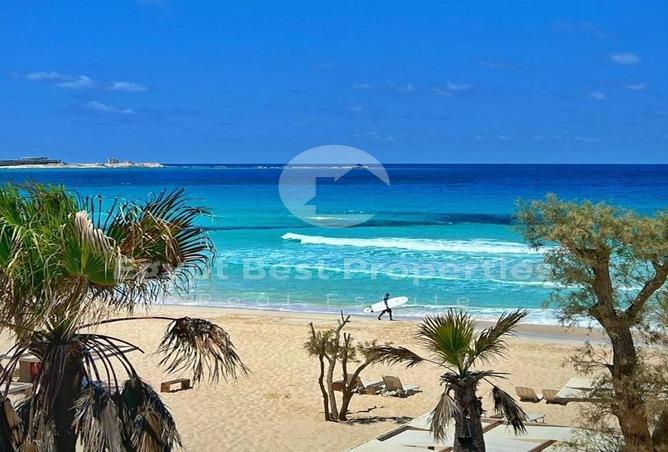 7992950 - صورة العقار 2
