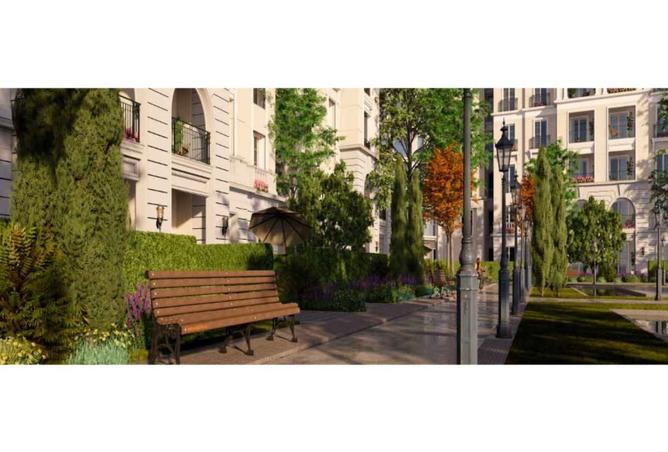 8204871 - Property Image 3