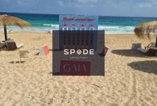 8437471 - Property Image 3