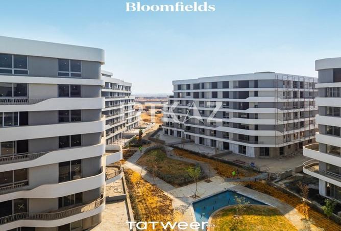 8342231 - Property Image 3