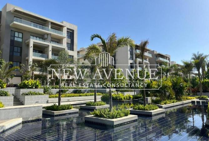 8157519 - صورة العقار 3