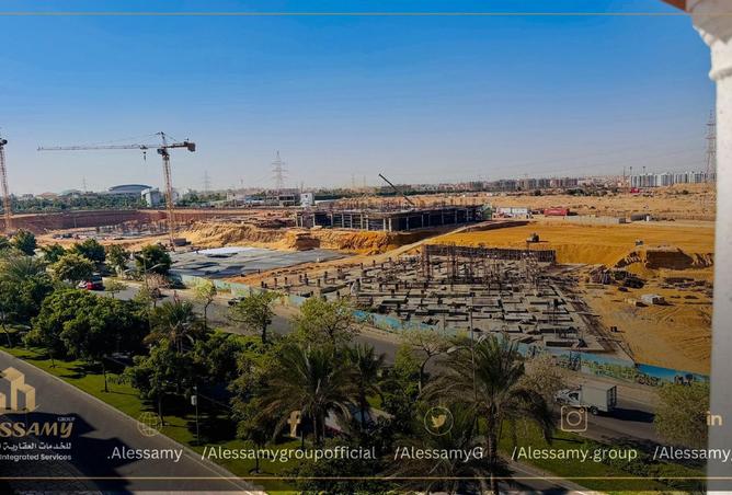 8417525 - Property Image 2