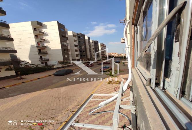 8047304 - Property Image 3