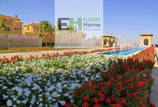 8191350 - Property Image 3