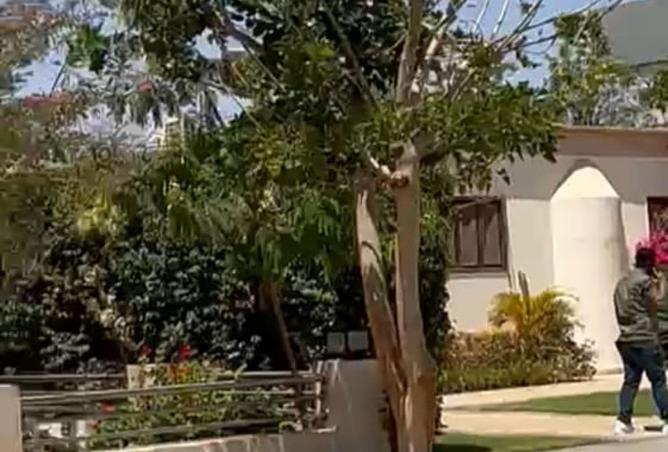 7951313 - صورة العقار 2