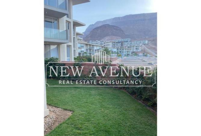 8196653 - Property Image 3