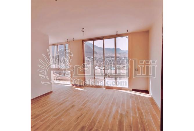 8126637 - Property Image 2