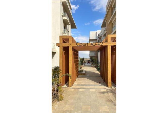 8039481 - Property Image 3