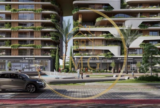 8098887 - Property Image 3