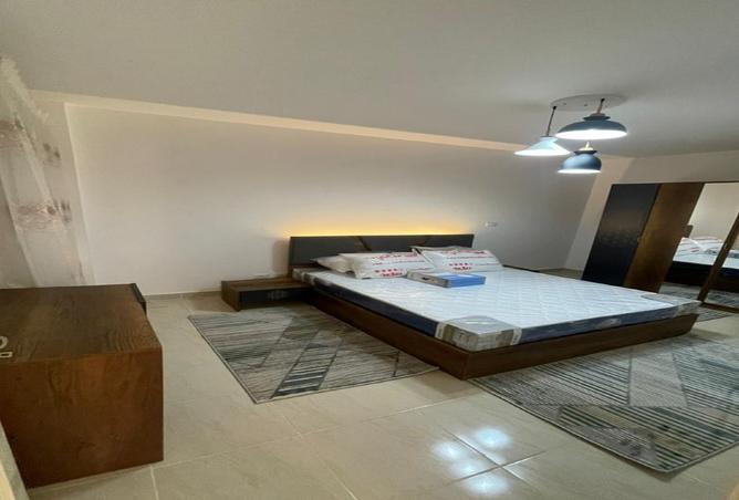 8016229 - Property Image 3