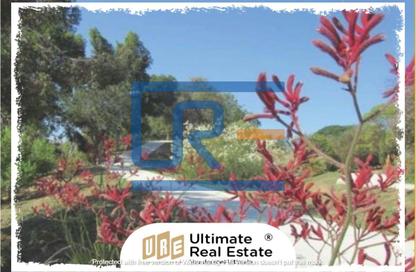 Apartment - 1 Bedroom - 1 Bathroom for sale in Palm Hills New Cairo - 5th Settlement Compounds - The 5th Settlement - New Cairo City - Cairo