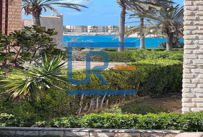 8113865 - صورة العقار 2