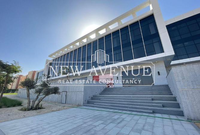 8212608 - Property Image 3