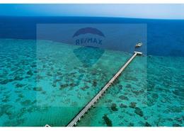 Apartment - 2 bedrooms - 1 bathroom for للبيع in Reef Town - Soma Bay - Safaga - Hurghada - Red Sea