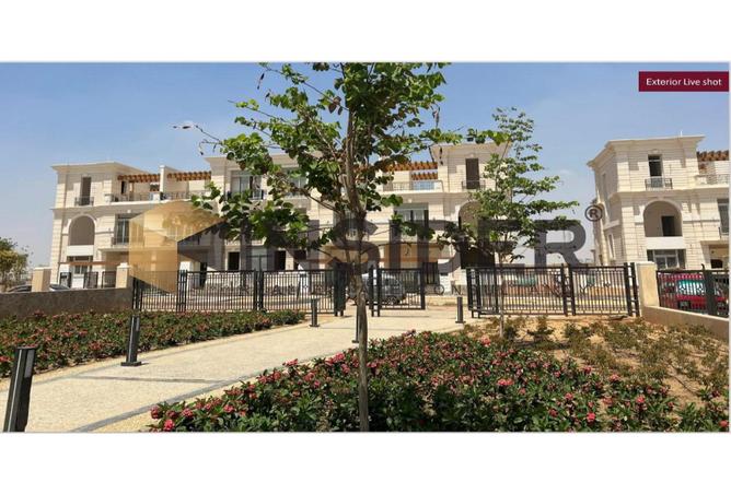 7971436 - صورة العقار 3