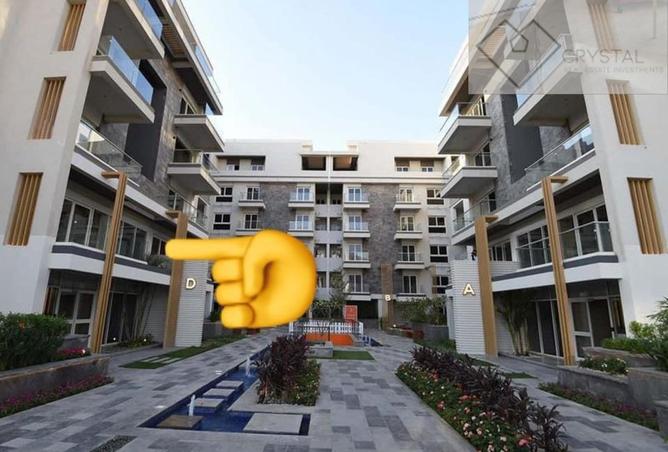 8125131 - Property Image 3
