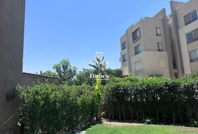 8339112 - صورة العقار 3