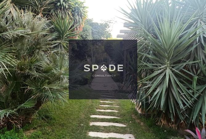 8219513 - صورة العقار 2