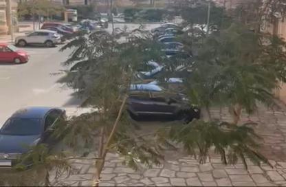Apartment - 3 Bedrooms - 2 Bathrooms for sale in Madinaty - Cairo