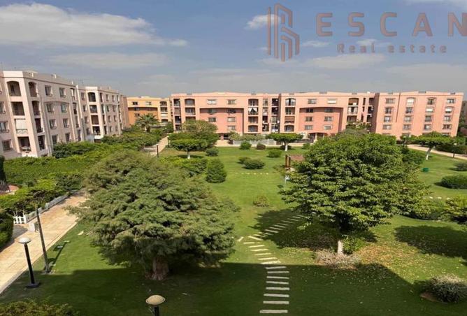 8380808 - الصورة الرئيسية للعقار