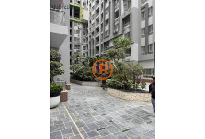 8149419 - Property Image 3