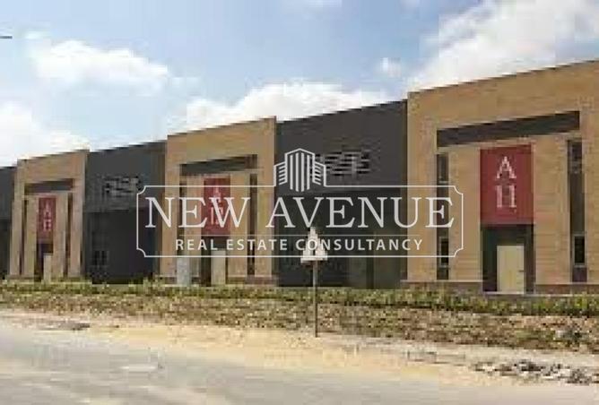 8268587 - Property Image 3