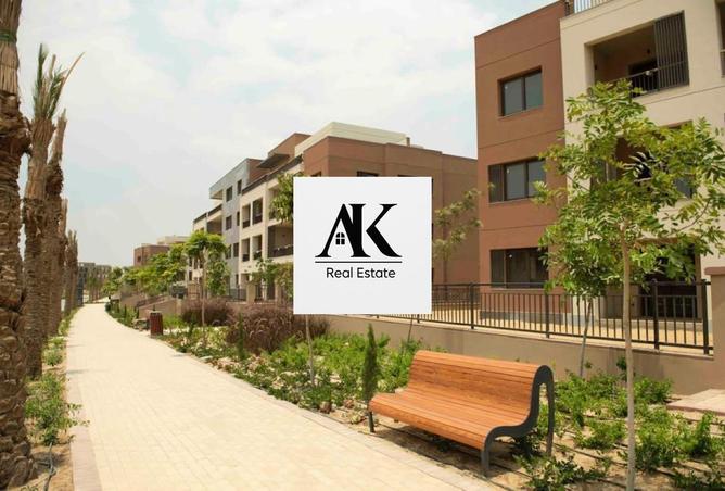 8252944 - Property Image 3