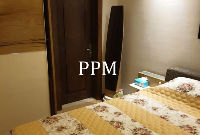 8363829 - Property Image 3