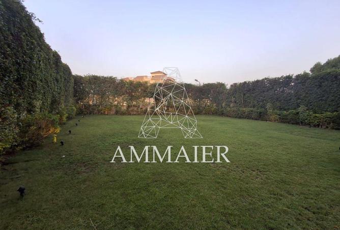 8244075 - Property Image 3