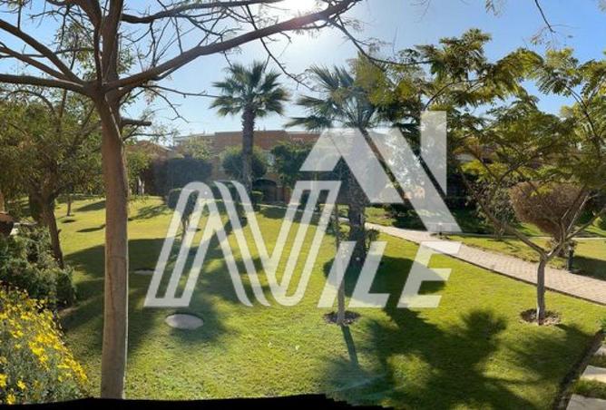 8433656 - Property Image 3