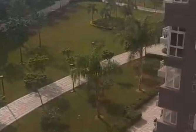 8097810 - صورة العقار 2