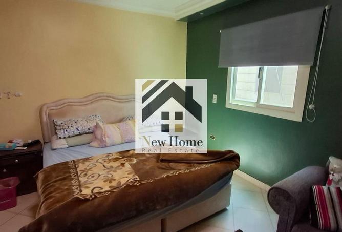 8074282 - Property Image 3