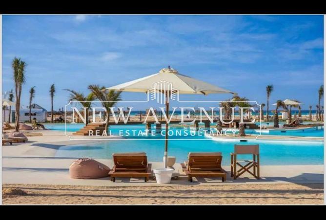 8338297 - Property Image 3