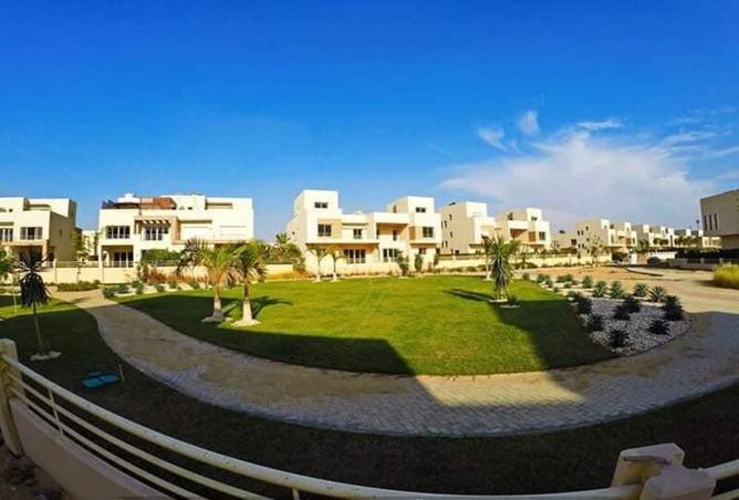 7971906 - صورة العقار 3