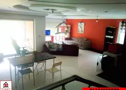 Villa - 3 Bedrooms - 2 Bathrooms for rent in Alex West - Alexandria Compounds - Alexandria